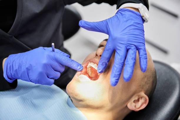 Best Dentist for Dental Trauma  in Moon Lake, FL